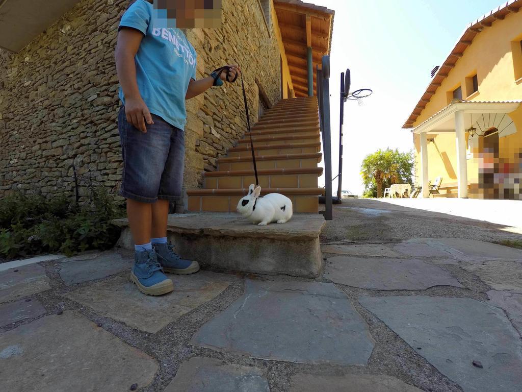 Casa Rural Graeras En Castigaleu Bagian luar foto